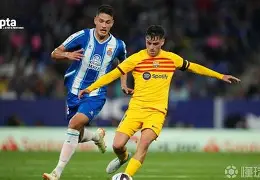 巴萨新援佩德里个人资料